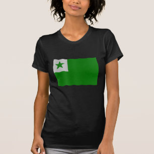 Esperanto flag T-Shirt
