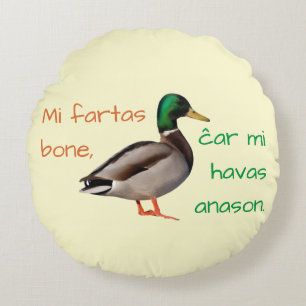 Esperanto: Mi fartas bone, ĉar mi havas anason. Round Cushion