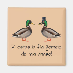 Esperanto: Vi estas la fia ĝemelo de mia anaso! Magnet
