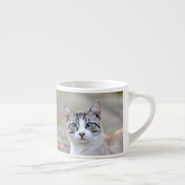 espresso cup Photo cat pet. espresso cup (Right)