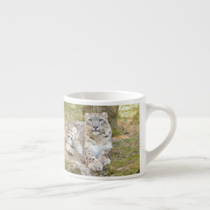 espresso cup Photo snow leopard. espresso cup