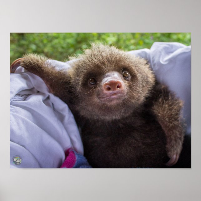 Espresso Poster (Front)