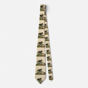 Esquimaux Curlew from Audubon's Birds of America Tie