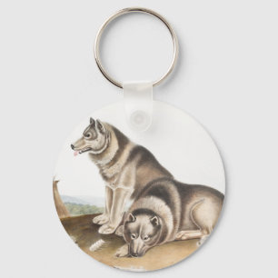 Esquimaux Dog (Canis familiaris) Illustration Key Ring