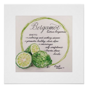 Essential Oil Watercolor Print - Bergamot
