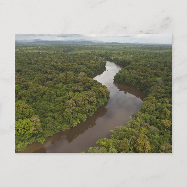 Essequibo River, longest river in Guyana, and 5 Postcard (Front)