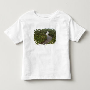 Essequibo River, longest river in Guyana, and 5 Toddler T-Shirt