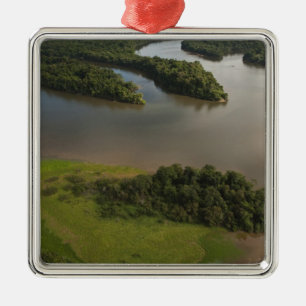 Essequibo River, longest river in Guyana, and Metal Tree Decoration