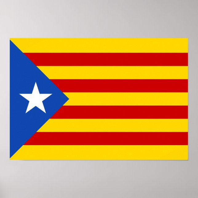 Estelada Poster (Front)