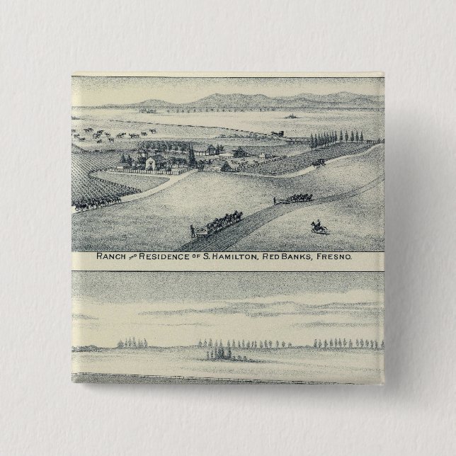 Estella Blanca Vineyard, California 15 Cm Square Badge (Front)