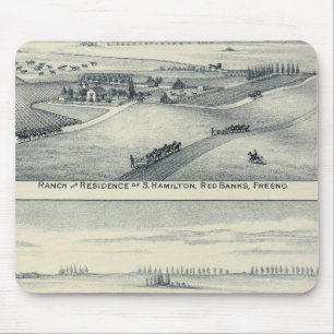 Estella Blanca Vineyard, California Mouse Pad