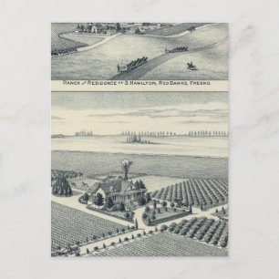 Estella Blanca Vineyard, California Postcard