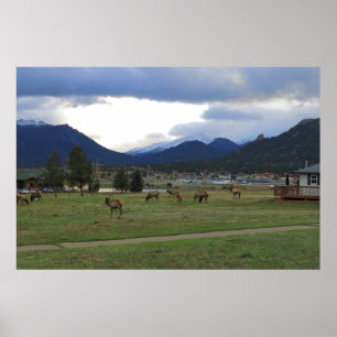Estes Park, Co Poster
