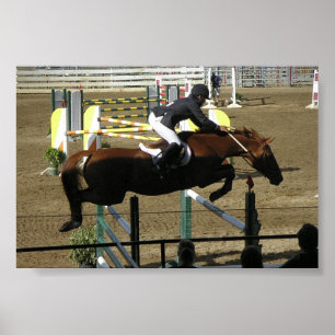 Estes Park Series (1) Poster