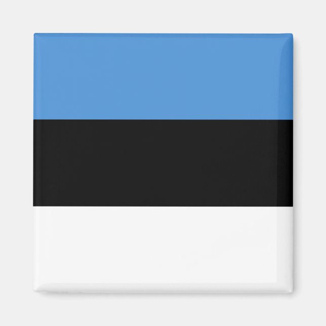 Estonia (Estonian) Flag Magnet (Front)