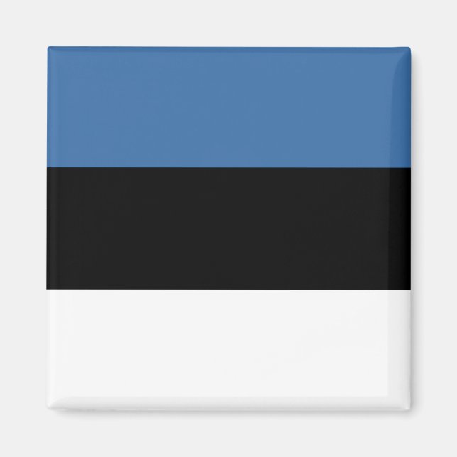 Estonia Flag Magnet (Front)