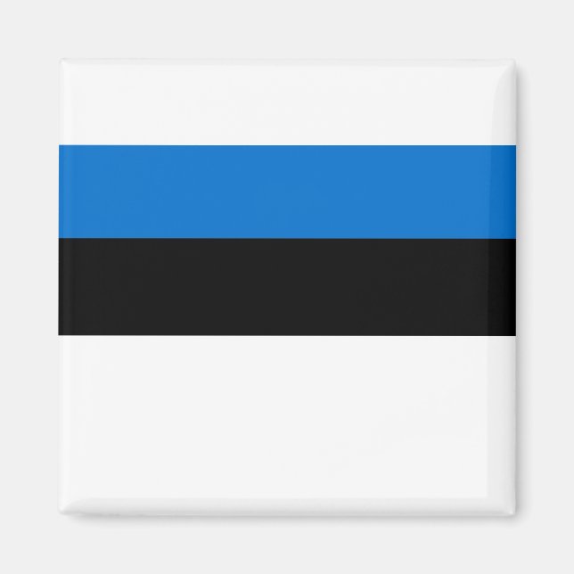Estonia Flag Magnet (Front)