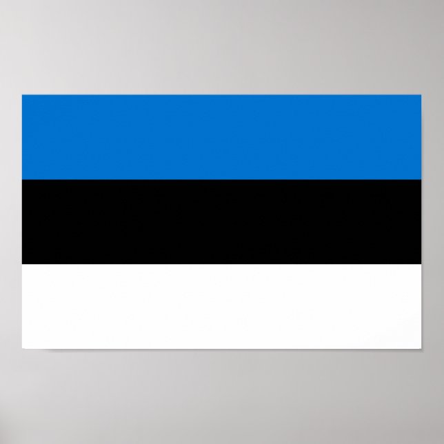 Estonia Flag Poster (Front)