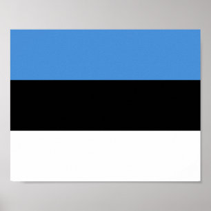 Estonia Flag Poster