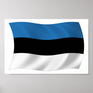 Estonia Flag Poster Print