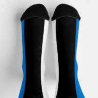 Estonia Flag