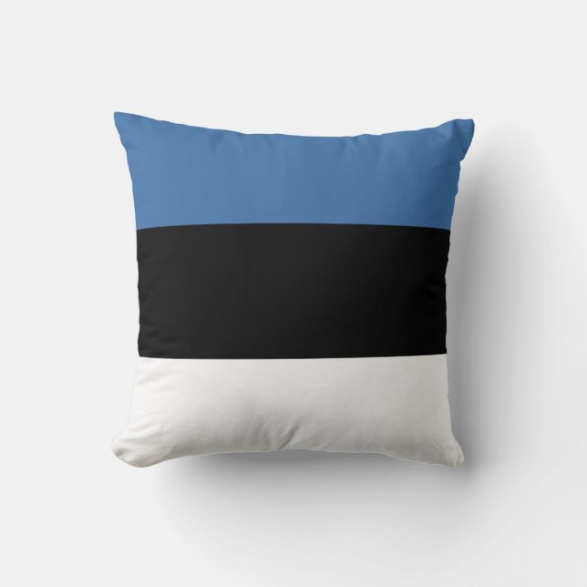 Estonia Flag x Flag Pillow (Front)