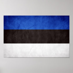 Estonia National Flag Poster