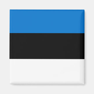 Estonia National World Flag Magnet