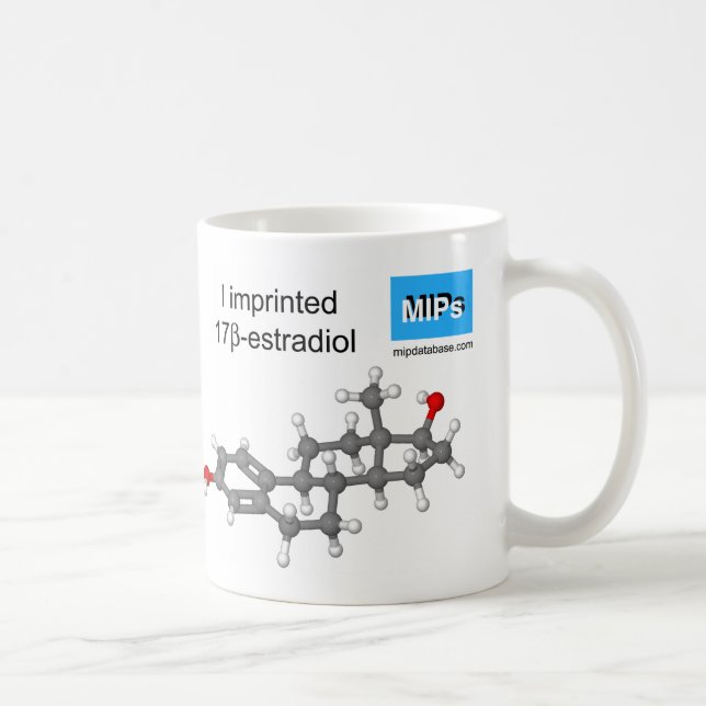 estradiol template mug ball and stick (Right)