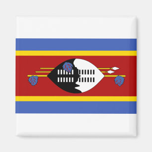 Eswatini Flag Magnet