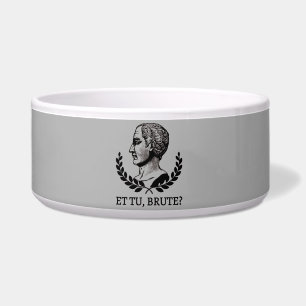 Et Tu, Brute? Shakespeare's Julius Caesar Quote V