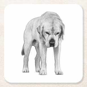 Etched Presence Square Paper Coaster