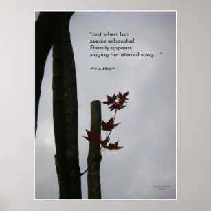 Eternal Song of Life: Nature Zen/Tao Poster