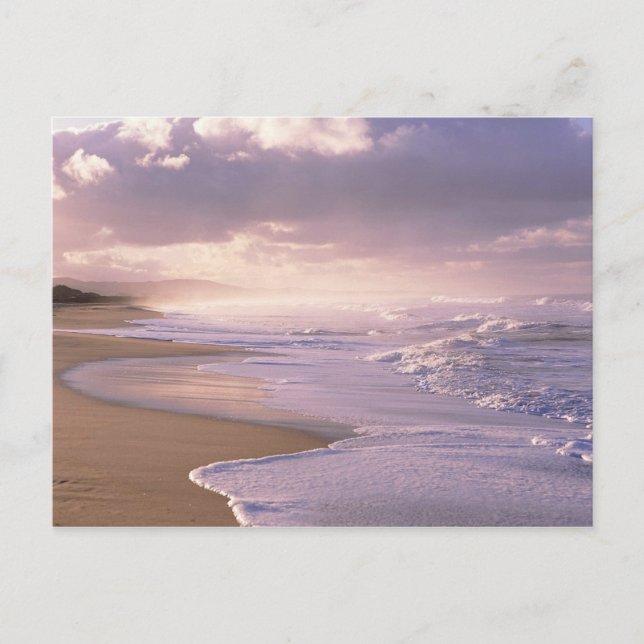 Eternity, Scenic Beach Sunset Postcard (Front)