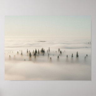Ethereal Forest: Pine Trees Emerging from Morning Poster