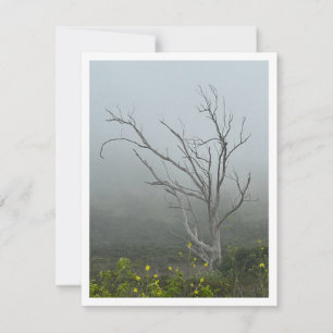 Ethereal Harmony Card