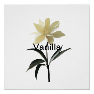 Ethereal Magnolia Grace Poster