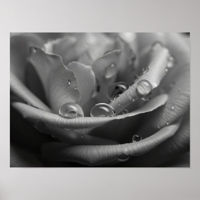 Ethereal Monochromatic Rose Petal Macro Poster (Front)
