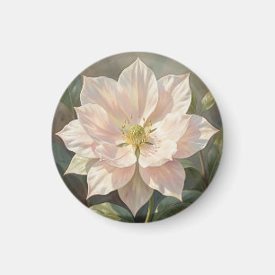 Ethereal Pale Pink Hellebore Bloom Magnet