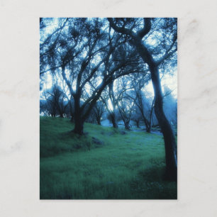 Etherial Moment Postcard