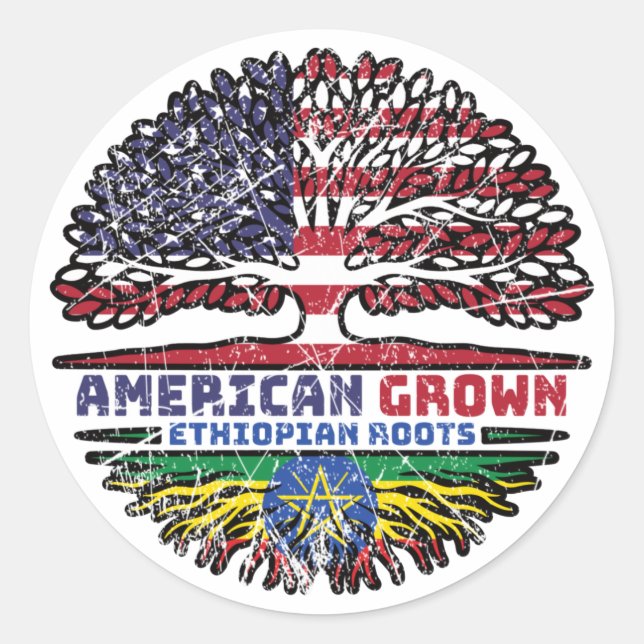 Ethiopia Ethiopian US American USA United States Classic Round Sticker (Front)