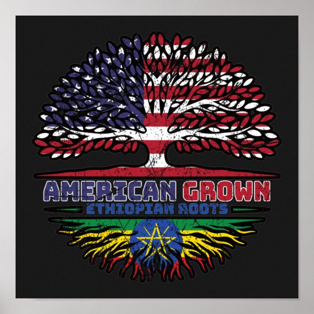 Ethiopia Ethiopian US American USA United States Poster (Front)
