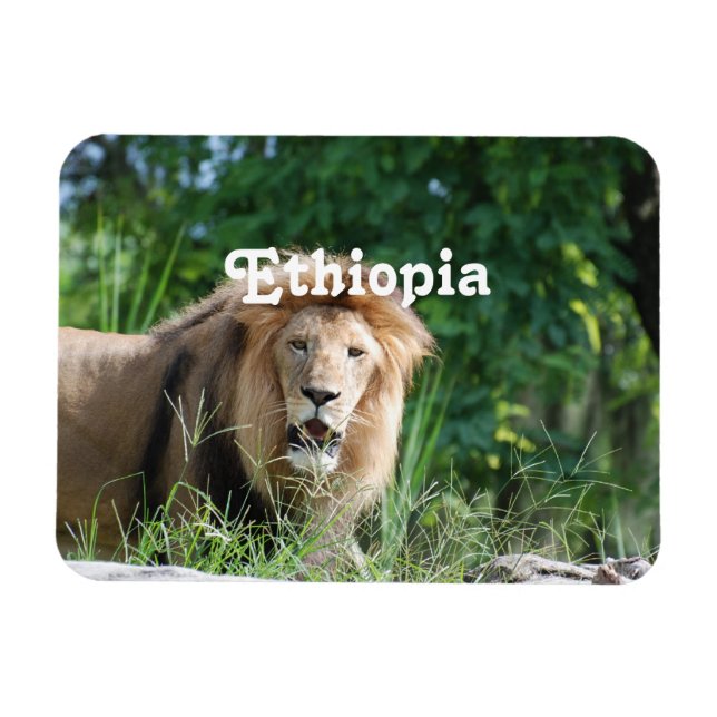 Ethiopia Lion Magnet (Horizontal)