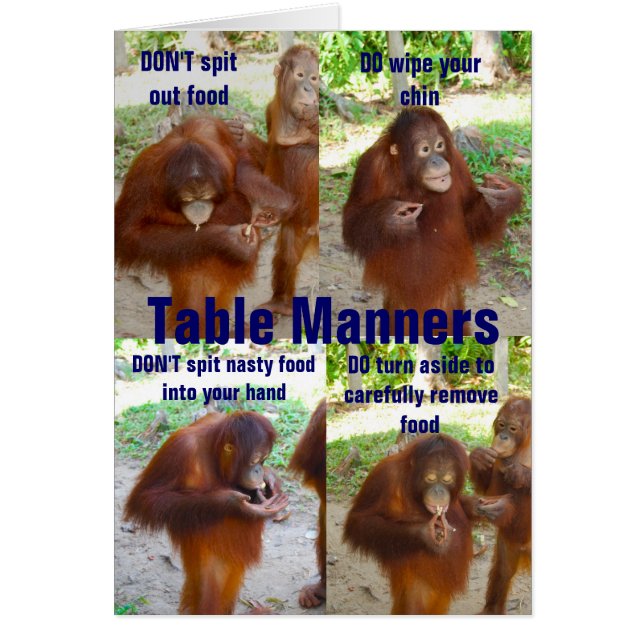 Etiquette and Manners for Wildlife or People (Front)