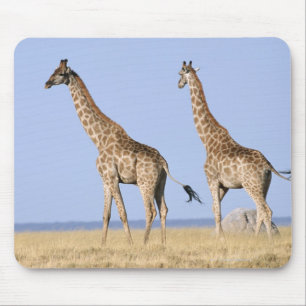 Etosha National Park, Namibia Mouse Pad