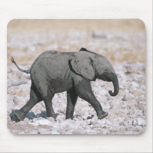 Etosha National Park, Namibia Mouse Pad