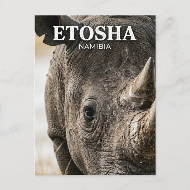Etosha National Park Namibia Postcard (Front)