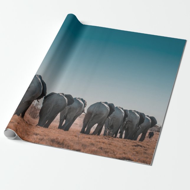 ETOSHA NATIONAL PARK WRAPPING PAPER (Unrolled)