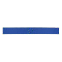 EU Flag
