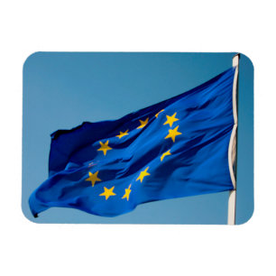EU flag Magnet